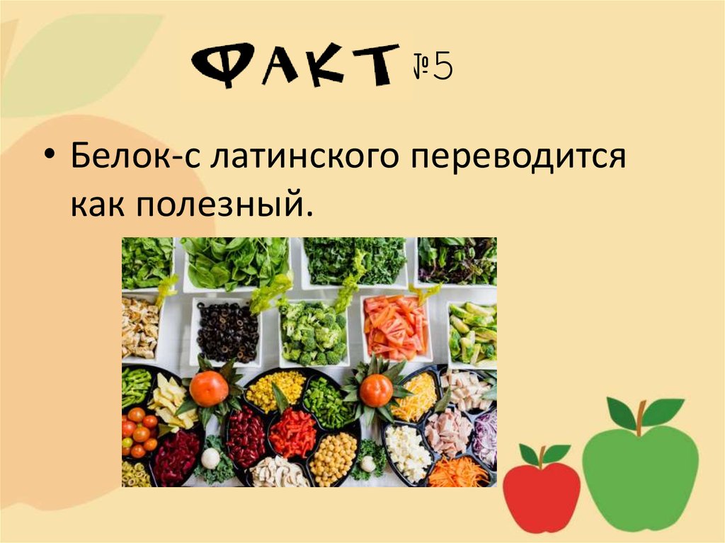 Фото с латинского. Как переводится витамин с латинского. Как переводится экология с латинского. С латинского информация переводится как. Эксперимент как с латинского переводится.