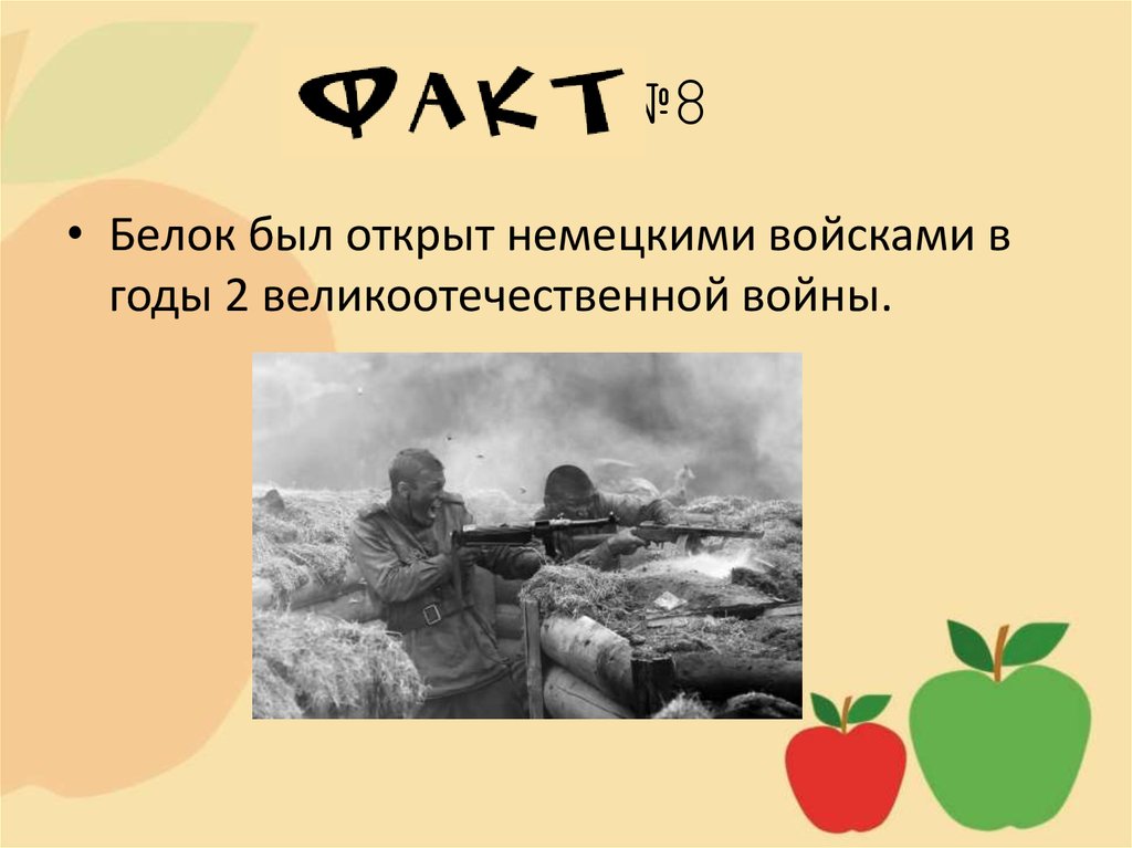Факт №8