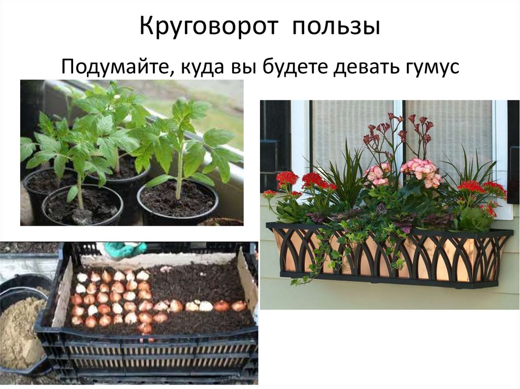 Круговорот пользы