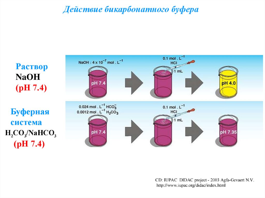 Стандартный буфер. Бикарбонатная буферная система. Бикарбонатный буфер. Бикарбонатный буфер схема. Механизм действия бикарбонатного буфера.