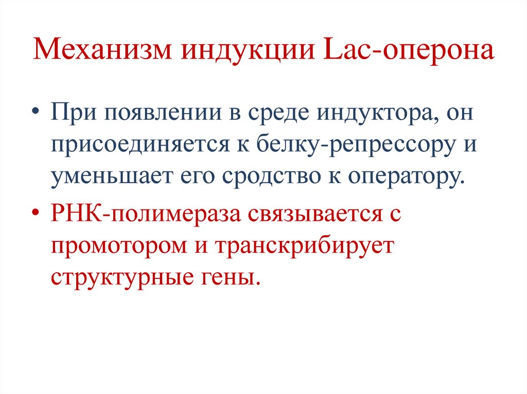 Репрессия синтеза белка. Механизм индукции. Механизмы индукции анатомия. Индукция и репрессия синтеза белка.