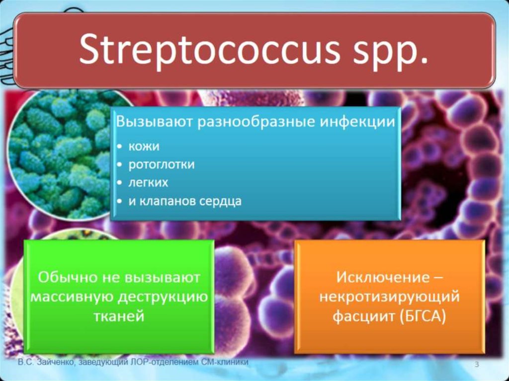 Стрептококки у женщин лечение. Стрептококковая стафилококковая токсикоинфекция карантин. Стрептококковая инфекция. Заболевания вызываемые стрептококками.