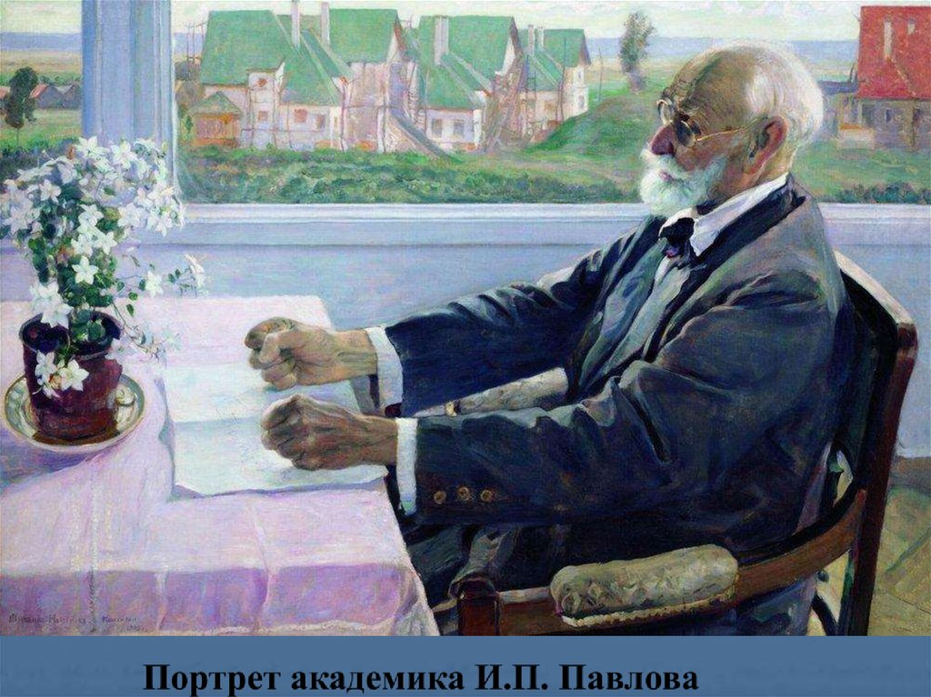 Портрет академика И.П. Павлова