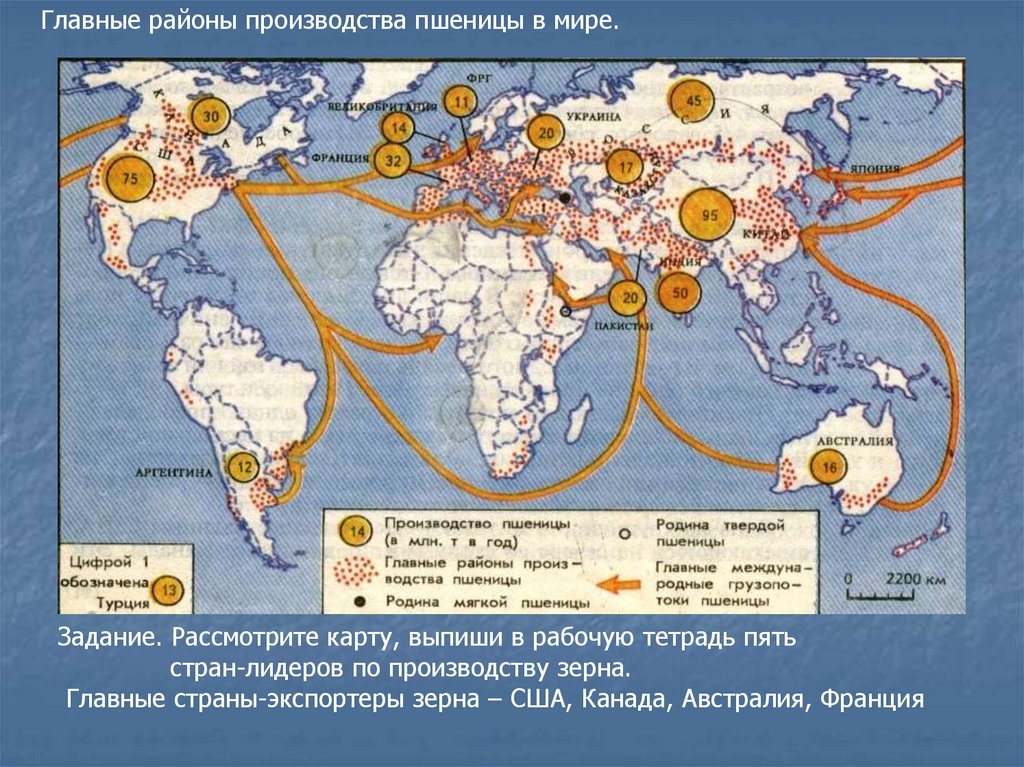 Контурная карта по географии сельского хозяйства. Карта производства пшеницы в мире. Основные районы выращивания пшеницы кукурузы риса в мире. Главные районы производства пшеницы в мире. Главные районы производства кукурузы в мире карта.