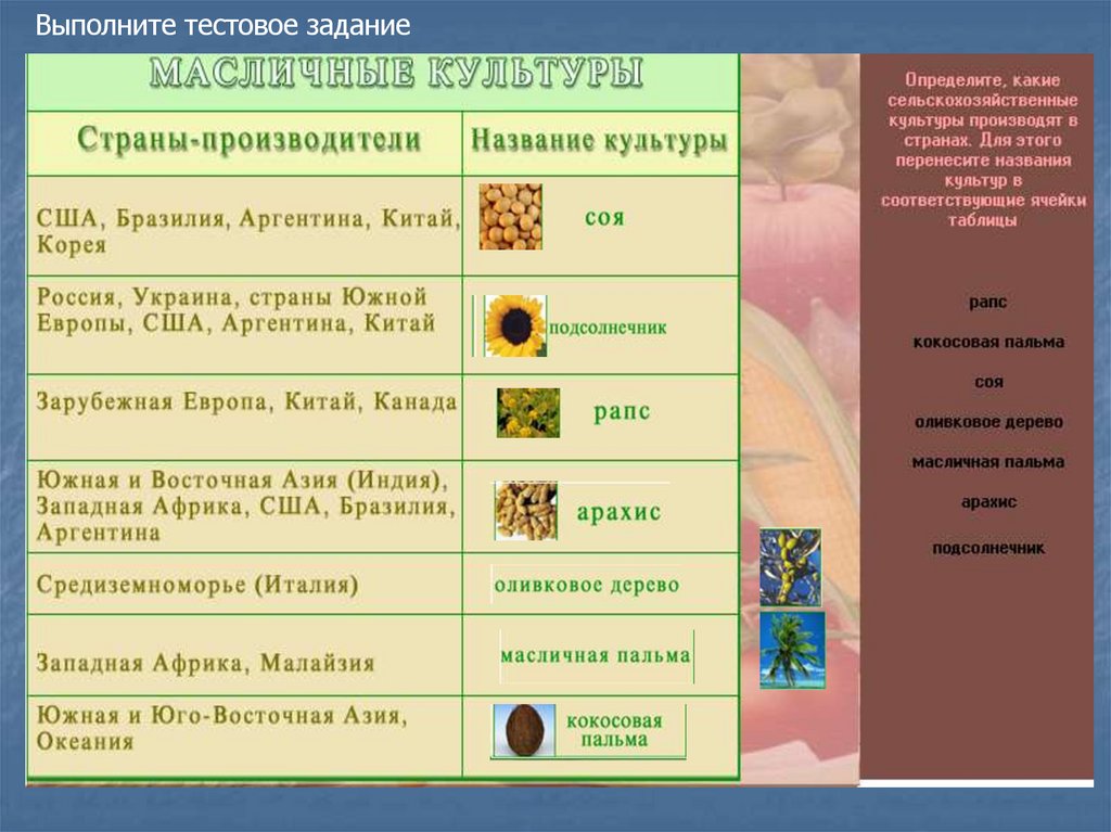 Название культуры. Страны производители арахиса. Сельскохозяйственные культуры страны. Арахис производство по странам. Страны производители арахиса в мире.