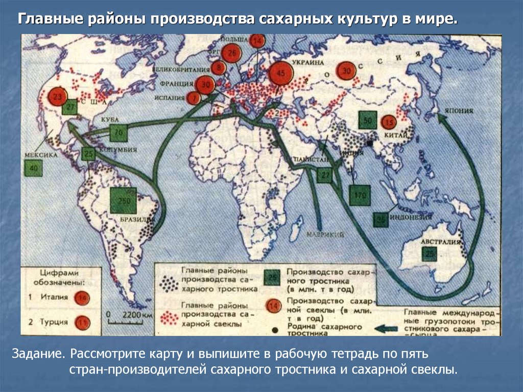 Сахарная свекла на карте. Производители сахарного тростника и сахарной свеклы в мире. Основные сельскохозяйственные районы мира. Грузопотоки сахарного тростника в мире. Сельское хозяйство мира 10 класс география.