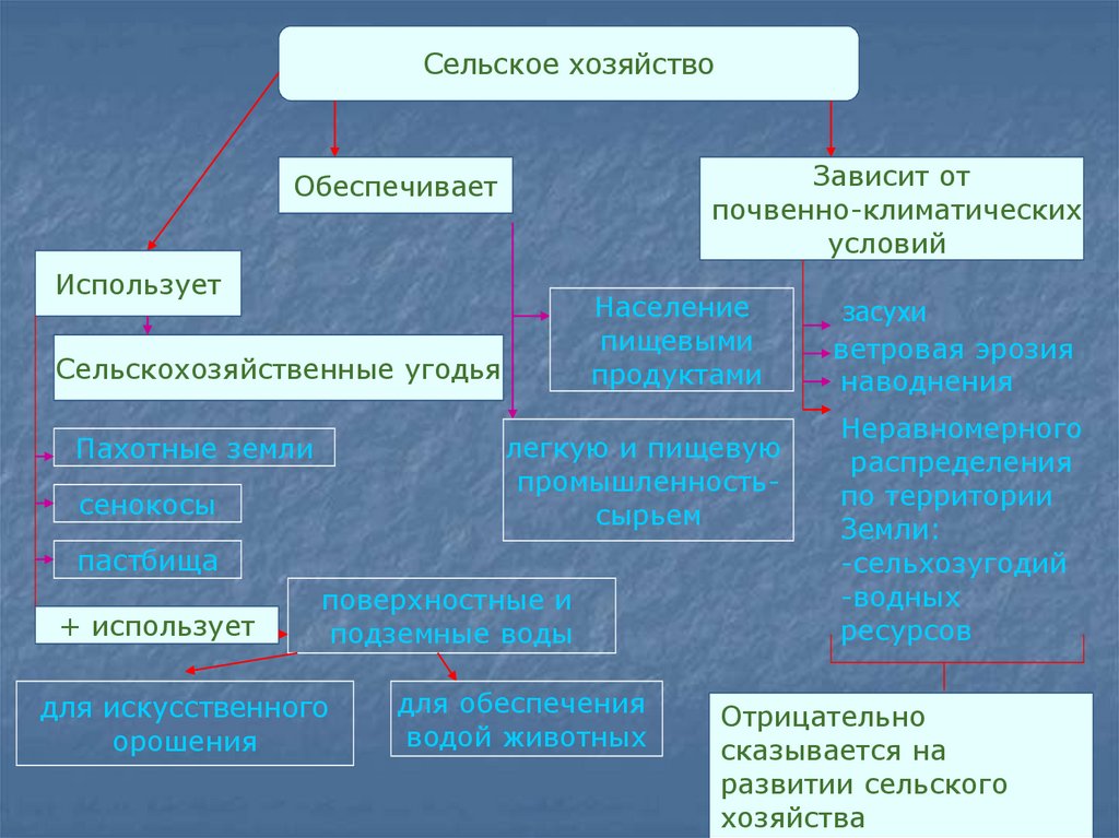 Составьте схему кластер животноводство