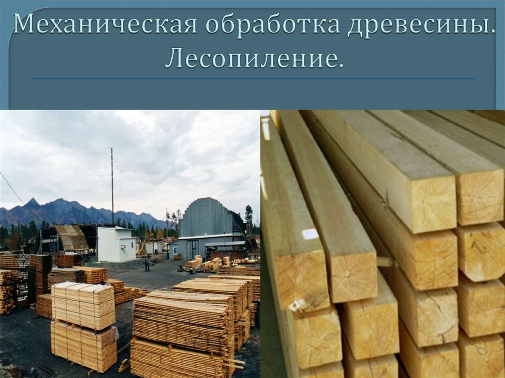 Деревообрабатывающая промышленность центры. Механическая обработка древесины. Сырьё в деревообрабатывающей промышленности. Деревообрабатывающая промышленность России. Лесная и деревообрабатывающая промышленность.