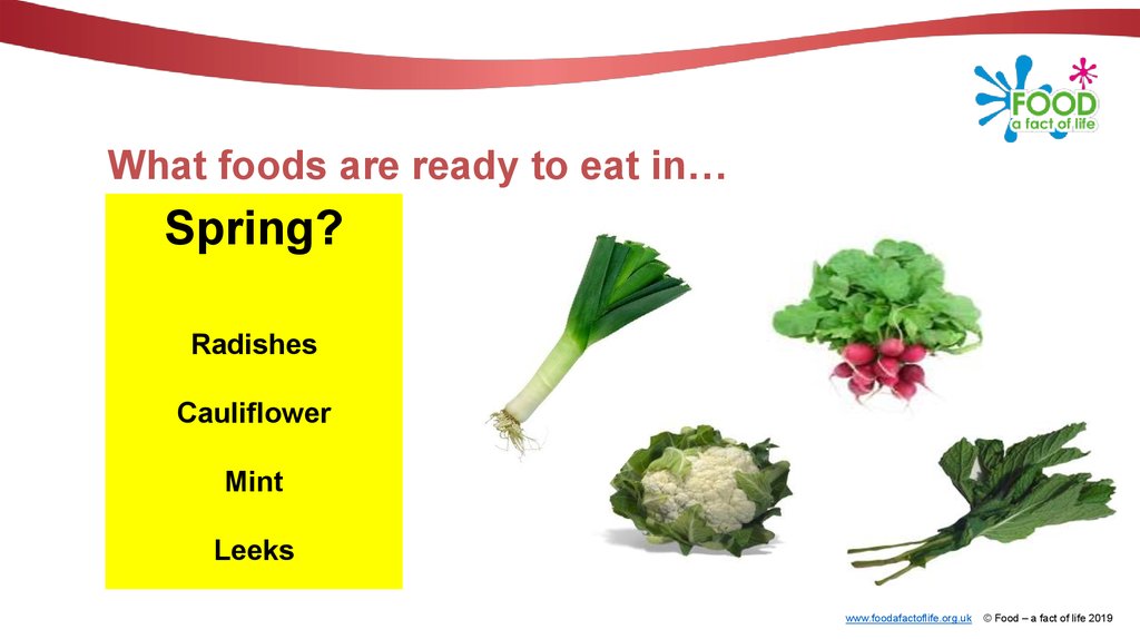 What foods are ready to eat in…