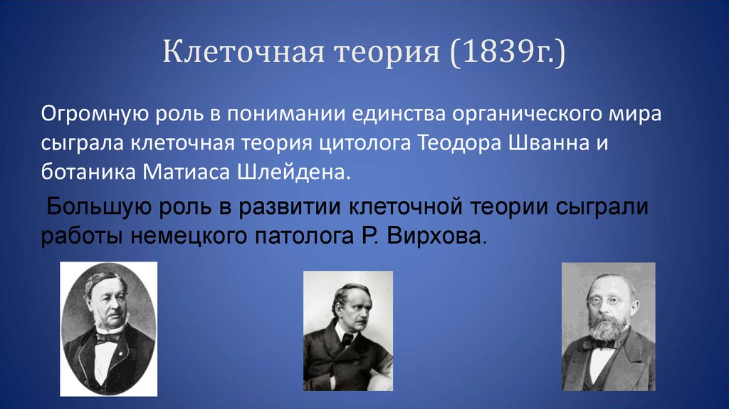 Автор клеточной. Клеточная теория 1839. Клеточная теория старения. Авторы клеточной теории.