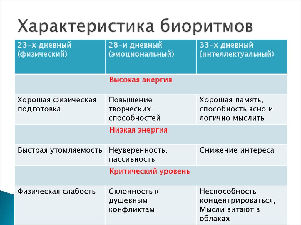 Типы биоритмов схема