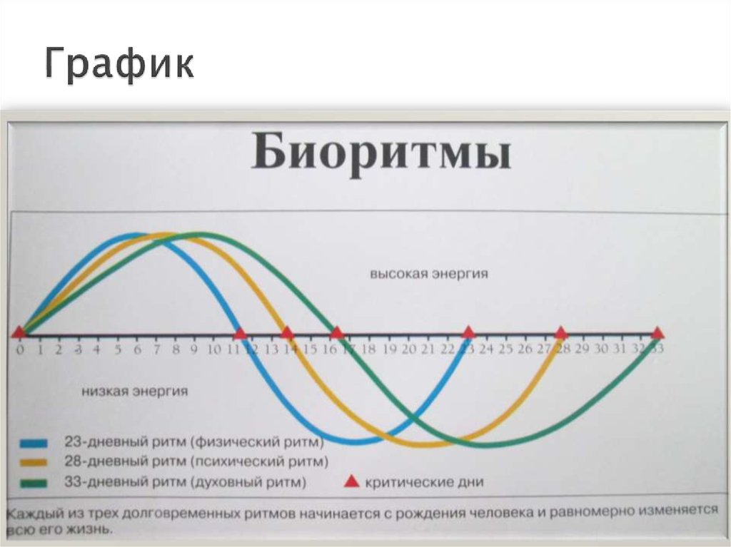 Рассчитать биоритмы в экселе