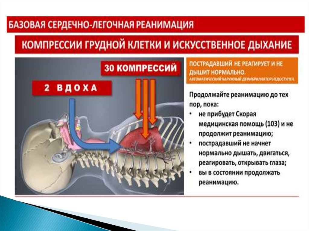 Алгоритм манипуляции