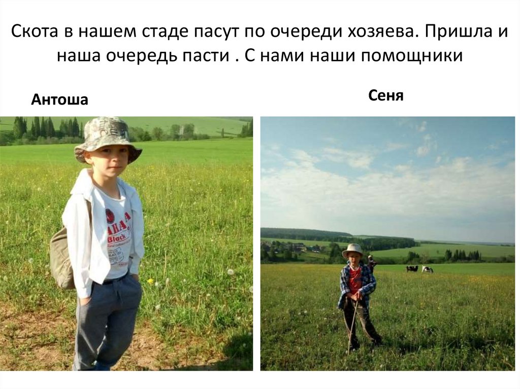 Скота в нашем стаде пасут по очереди хозяева. Пришла и наша очередь пасти . С нами наши помощники