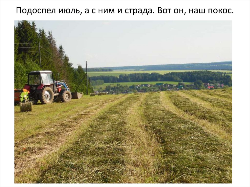 Подоспел июль, а с ним и страда. Вот он, наш покос.