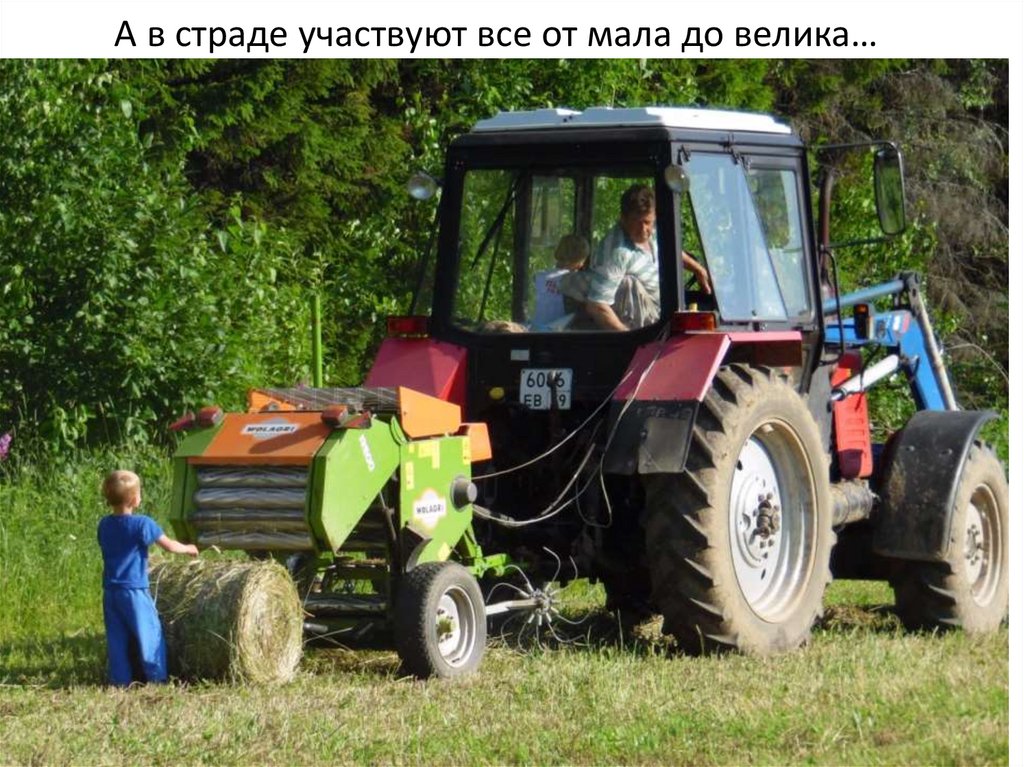 А в страде участвуют все от мала до велика…