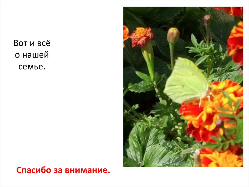 Вот и всё о нашей семье.