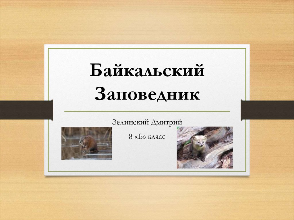 Байкальский Заповедник