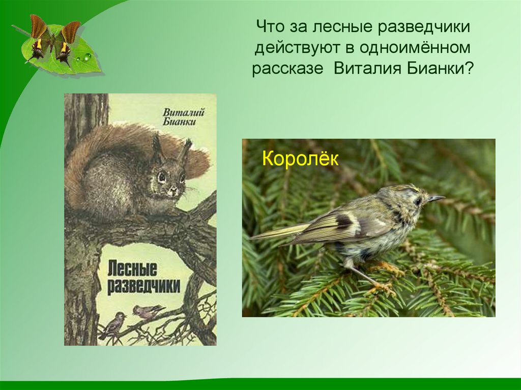 Что за лесные разведчики действуют в одноимённом рассказе Виталия Бианки?