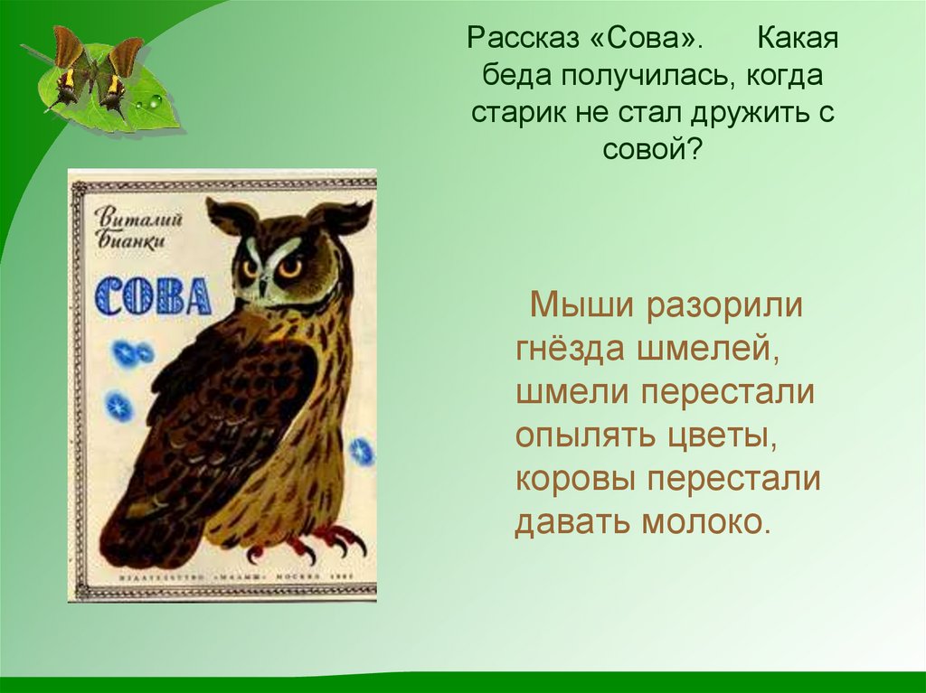 Сова литературное чтение 2 класс. Произведение Виталия Бианки Сова. Рассказ Сова Бианки 2 класс. Рассказ Виталия Бианки Сова. Сказка Сова Бианки.