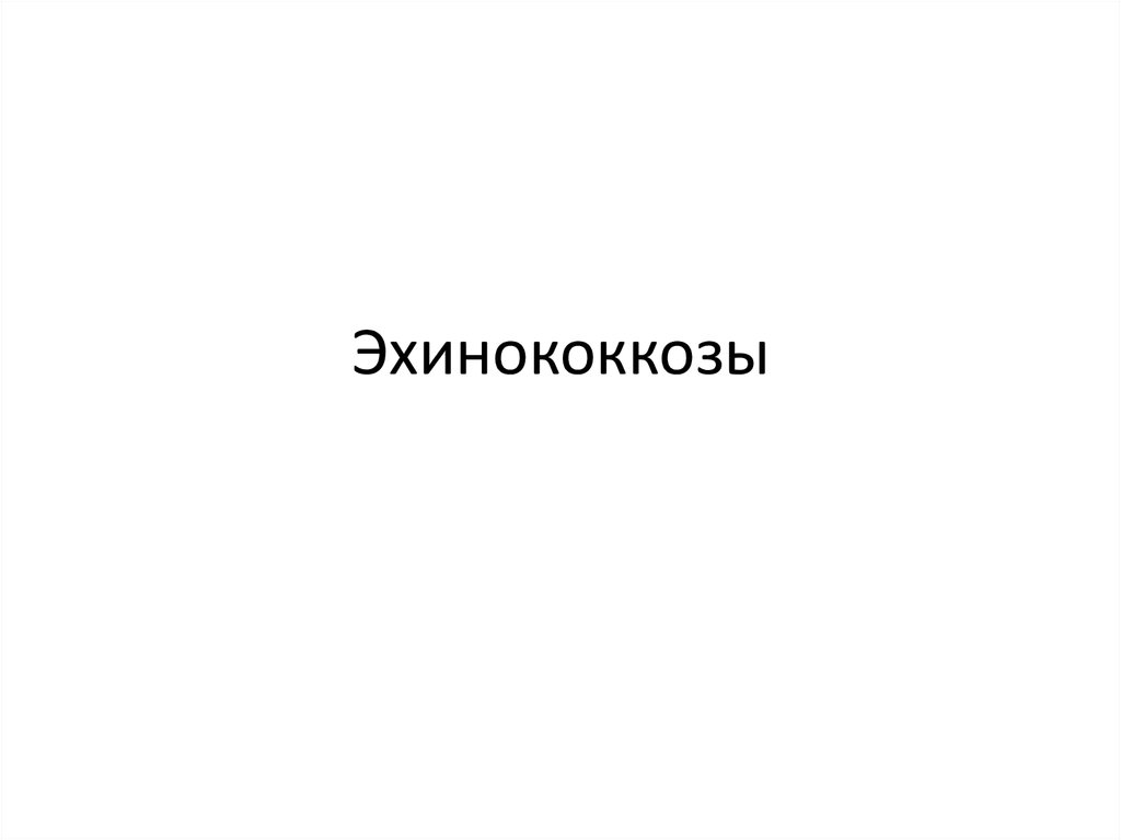 Эхинококкозы. Альвеококк - презентация онлайн