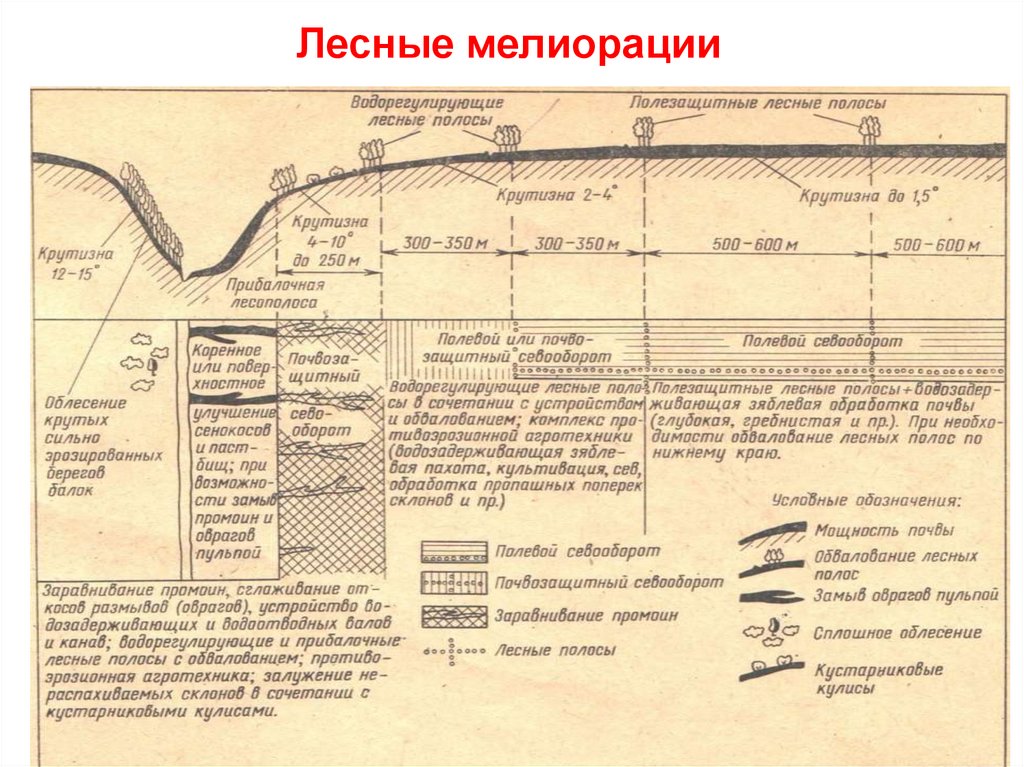 Проект мелиорации земель пример