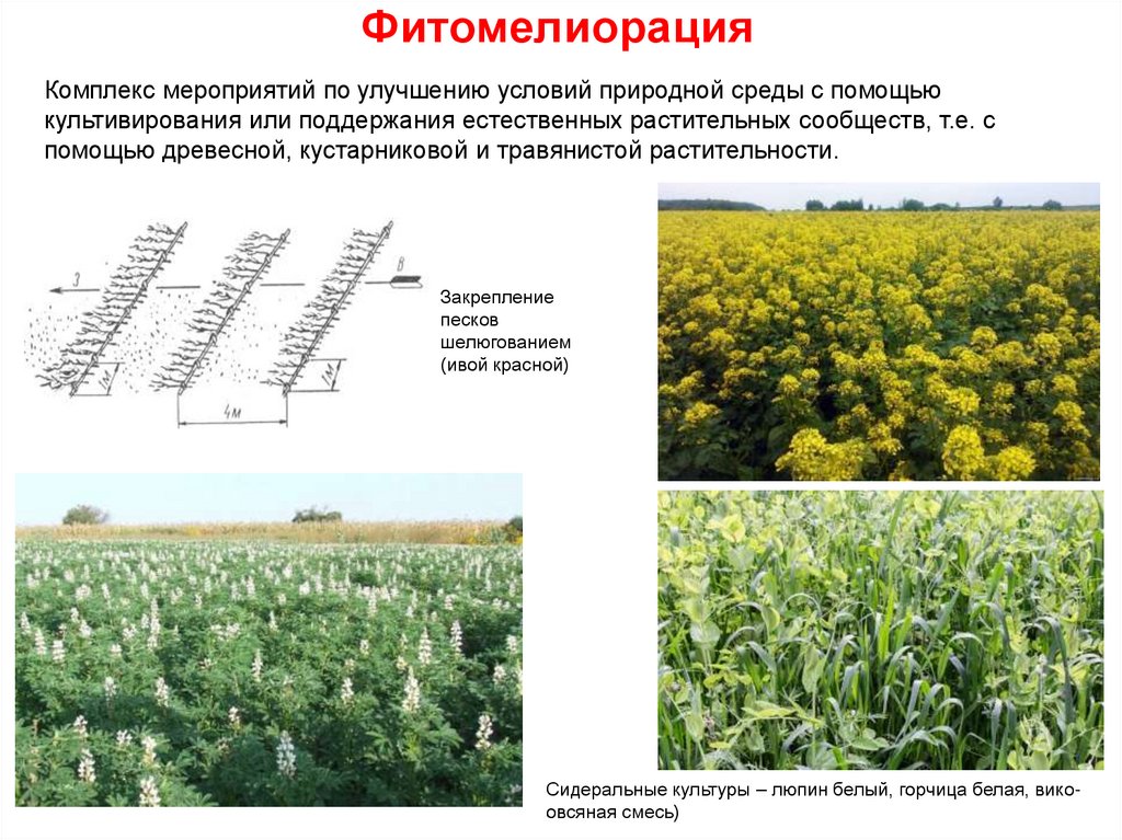 Карта мелиорации московской области