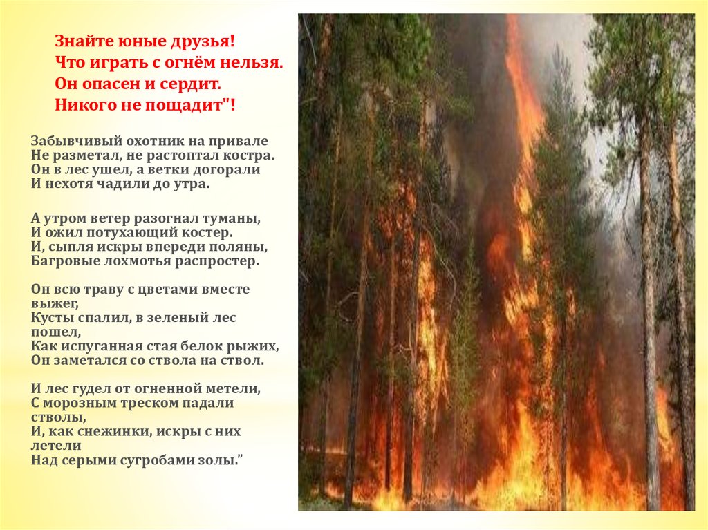 Знать природу текст. Забывчивый охотник на привале не разметал не растоптал костра. Памятка огонь никого не пощадит. Стихотворение забывчивый охотник на привале. Забывчивый охотник на привале не разметал не растоптал костра падеж.