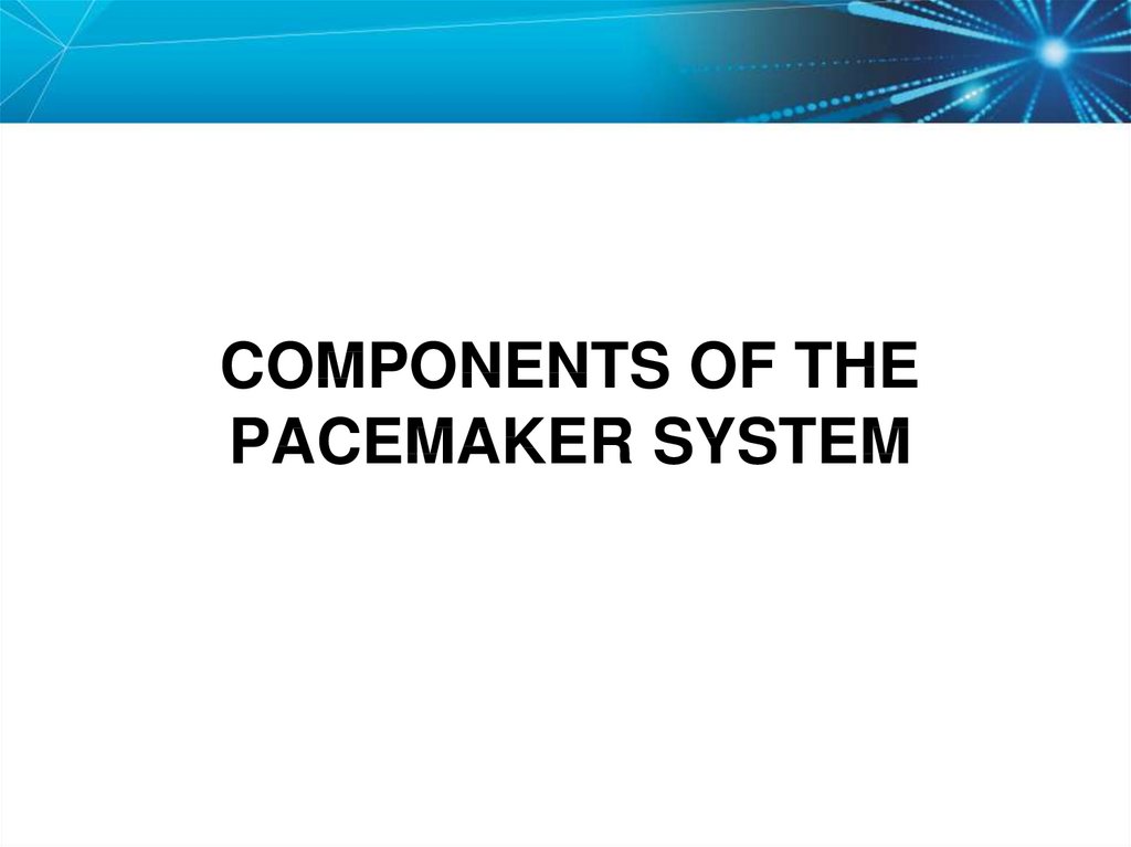 Components of the Pacemaker System