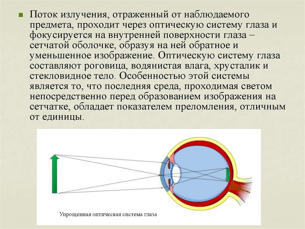 Какое образование относят к оптической системе глаза. Глаз как оптическая система. Глаз как оптическая система картинки. Оптическая система глаза таблица. Оптическая система глаза состоит.