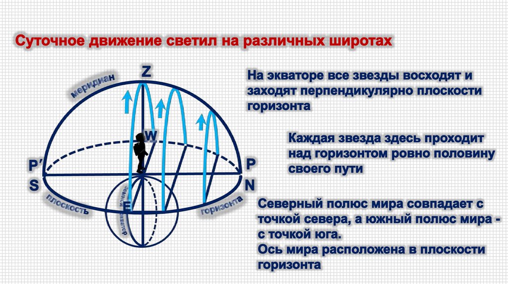 Какая координата определяет высоту