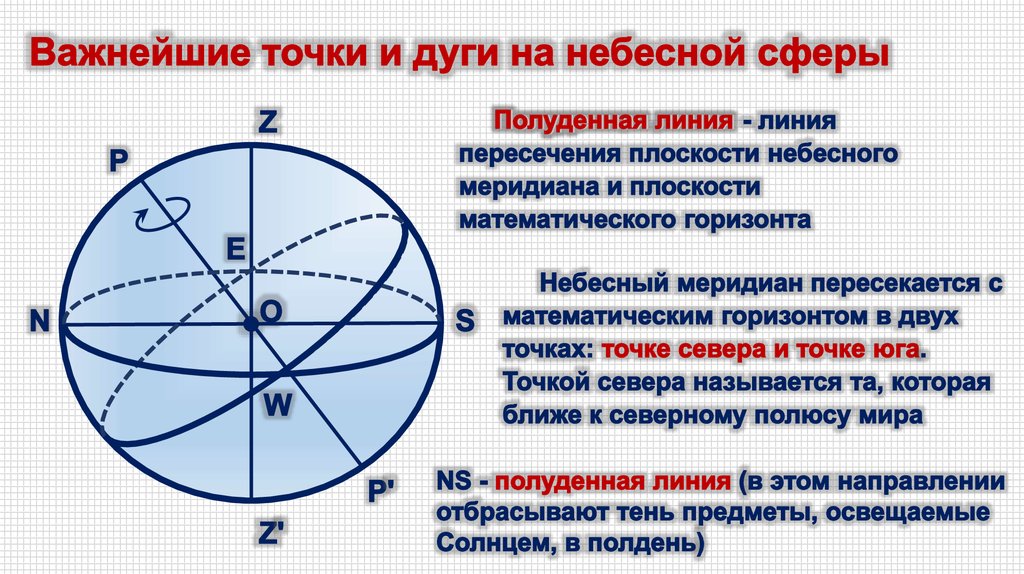 Изобразите на чертеже небесную сферу в проекции на плоскость небесного меридиана