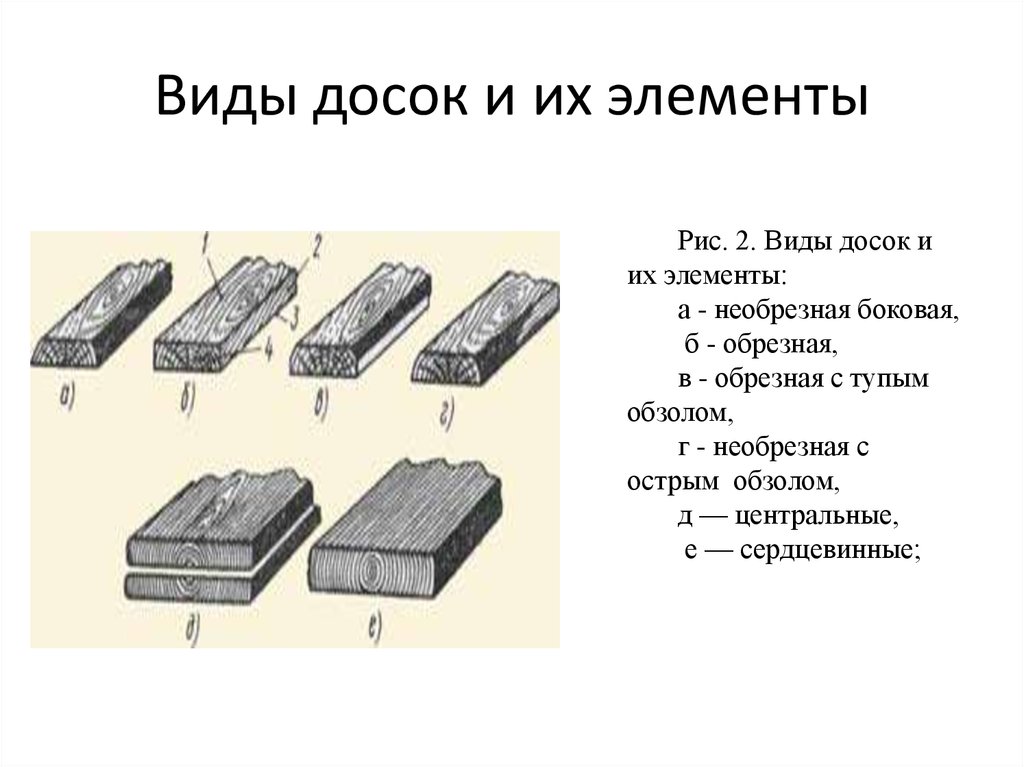 Типы досок. Карандашный обзол. Острый и тупой обзол в картинках. Виды обзола. Острый обзол.