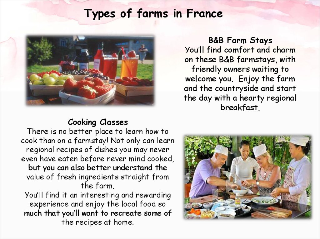 Types of farms in France