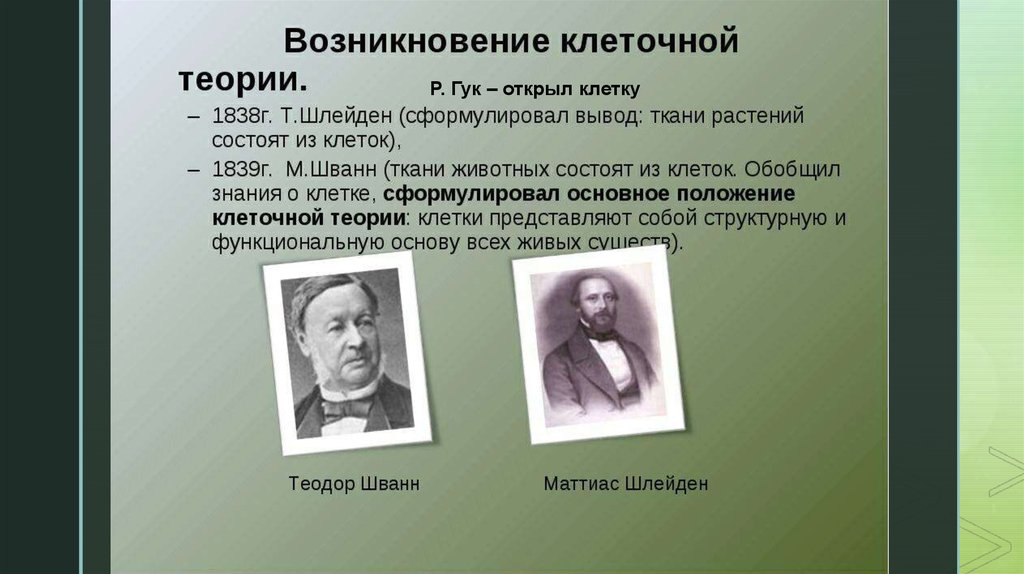 Основные положения клеточной теории сформулировали. Ученые, сформулировавшие основное положение клеточной теории. Основные положения кдеточной телрии сформулироваои. Возникновение клеточной теории.