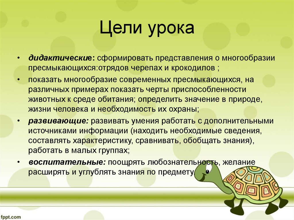Значение черепах в природе и жизни человека. Крокодилы значение в природе и жизни человека. Значение крокодилов в природе и жизни человека. Значение крокодилов в природе. Значения крокодилы в природе и жизни.