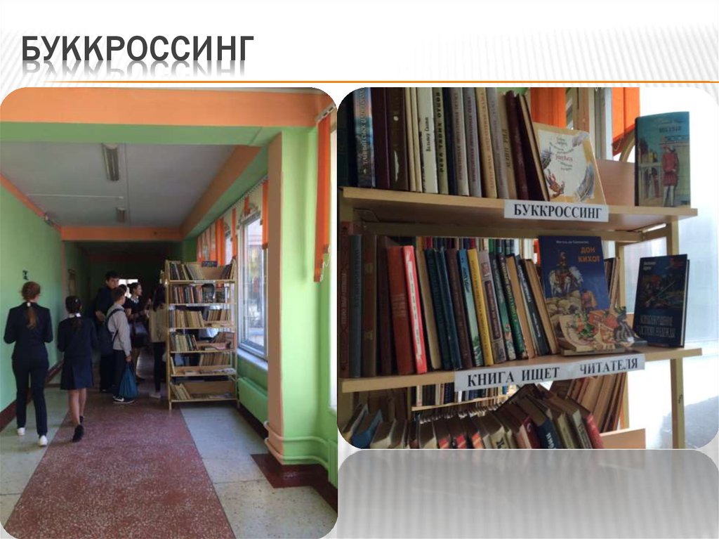 Проект буккроссинг презентация