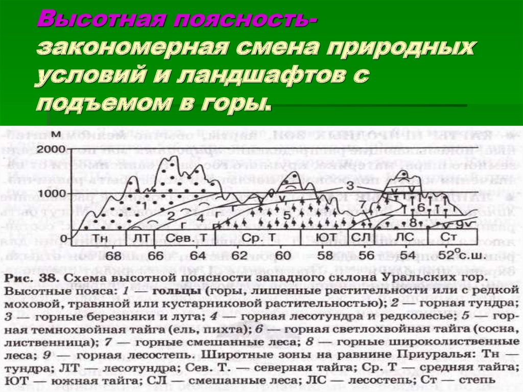 Природные зоны кавказа и урала. Высотная поясность Сибири. Высотная поясность хребта Черского. Высотная поясность 8 класс Уральские горы. Высотная поясность закономерная.