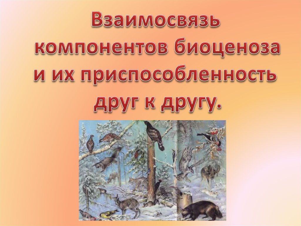 Презентация на тему взаимосвязь компонентов биоценоза и их приспособленность друг к другу 7 класс