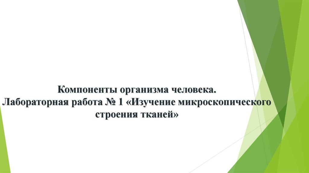 Лабораторная работа изучение микроскопического. Лабораторная изучение микроскопического строения тканей. Лабораторная работа № 1 изучение микроскопического строения тканей. Лабораторная работа изучение микроскопического строения тканей. Вывод по изучению микроскопического строения тканей.