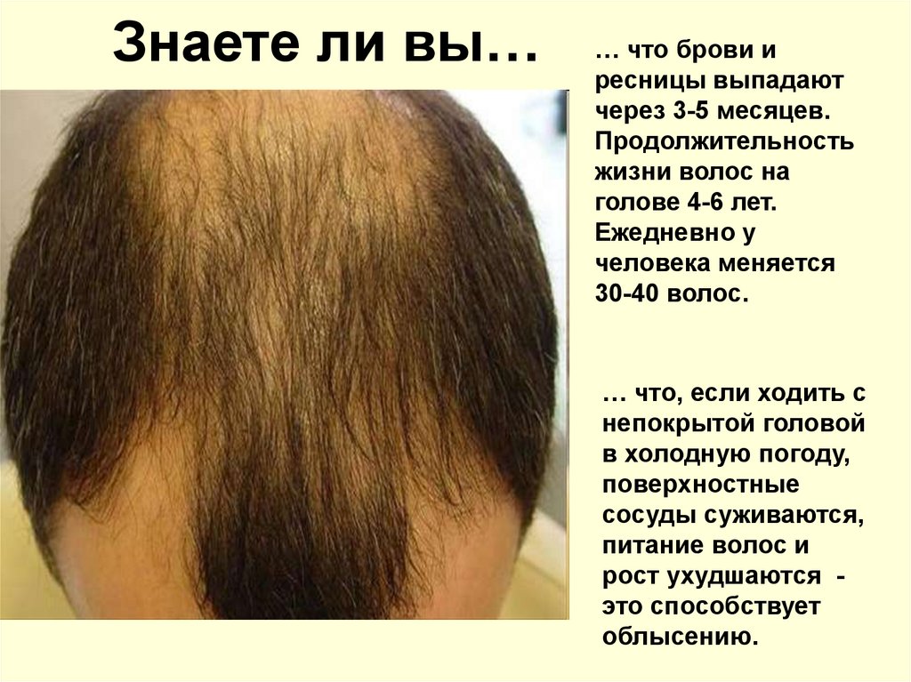 За сколько отрастают волосы у мужчин