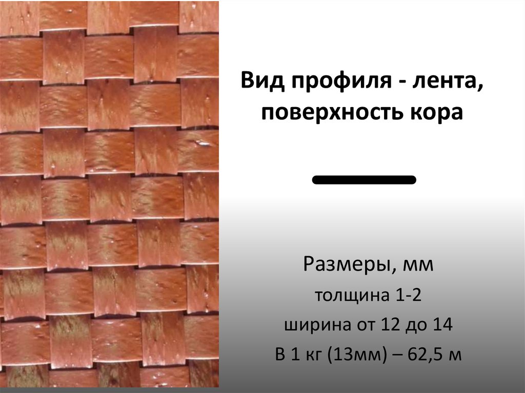 Вид профиля - лента, поверхность кора