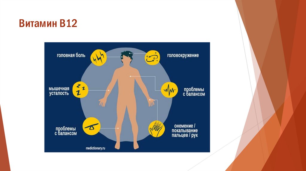Витамин B12