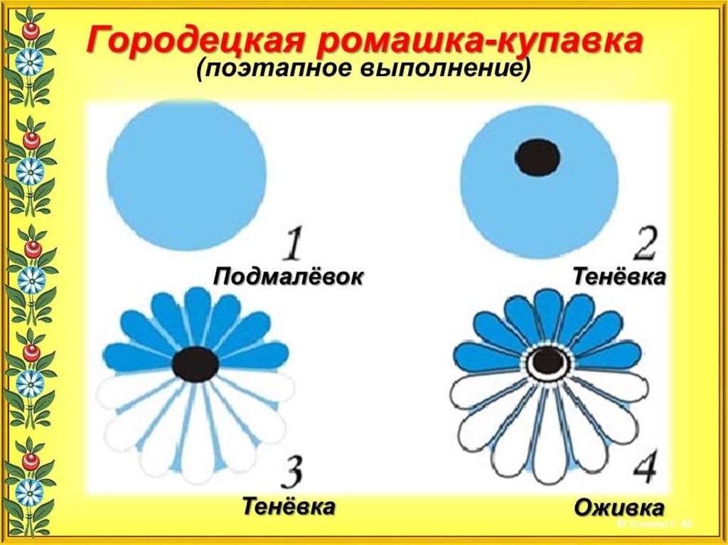 Купавка цветок рисунок