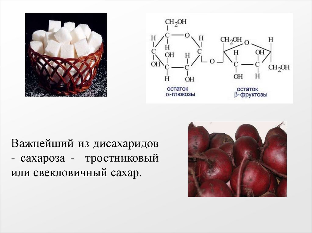 Презентация на тему сахароза