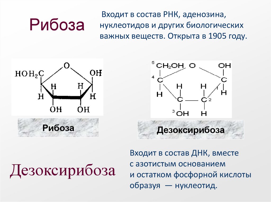 Углеводы строение и функции. Олигосахариды формула общая. Циклические формулы углеводов. Сахариды формула. Углевод формула развернутая.