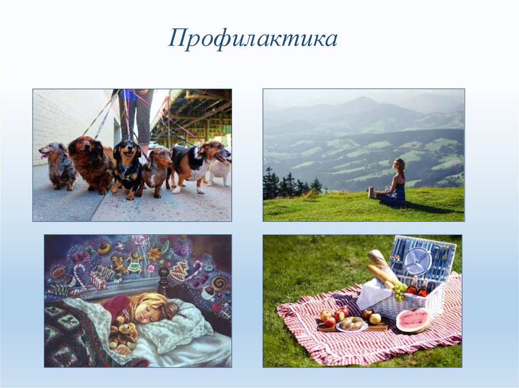 Профилактика