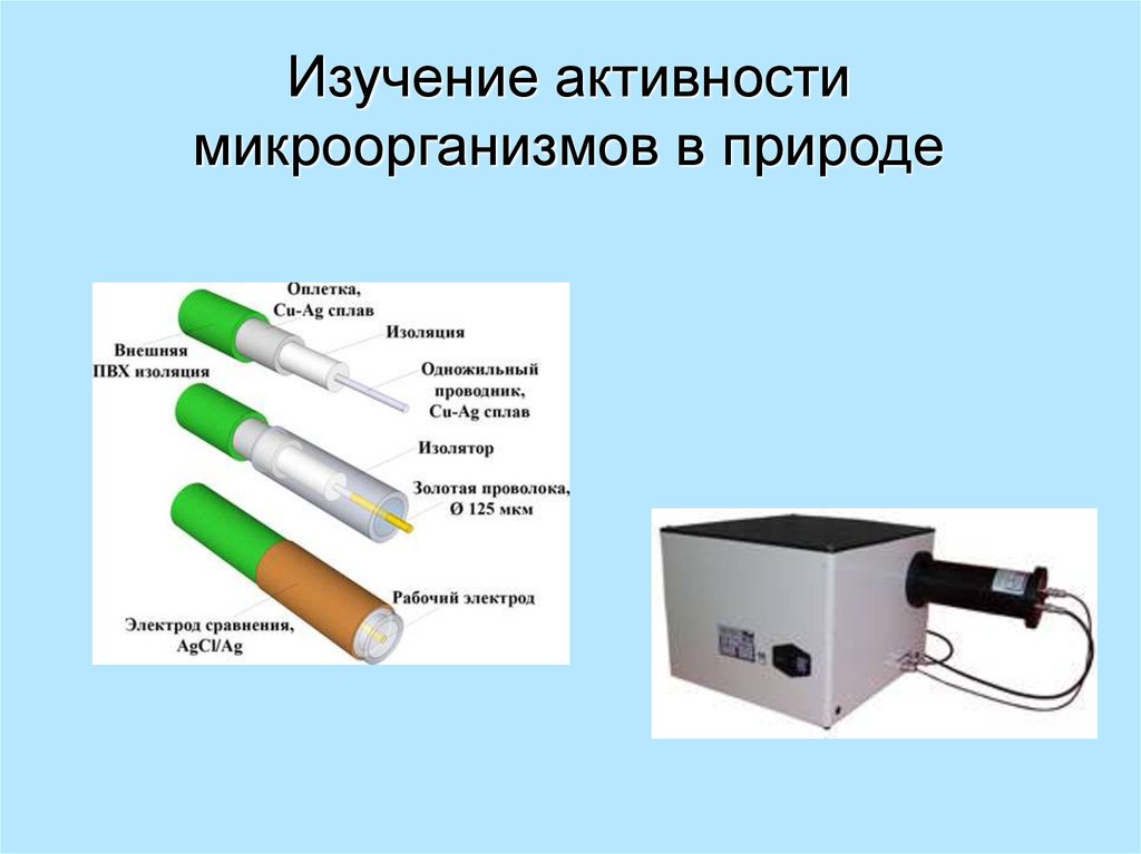 Исследования активности