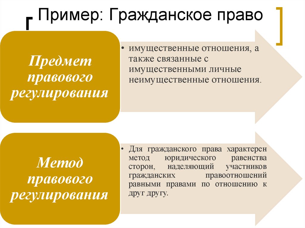 Гражданская ситуация. Гражданское право примеры. Гражданские права примеры. Граэданскоеправо пример. Граждансокеправо примеры.