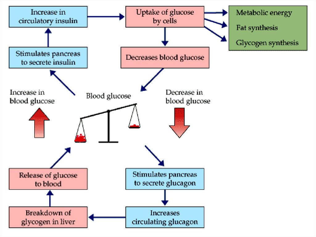 Valores de glucosa en sangre en ayunas